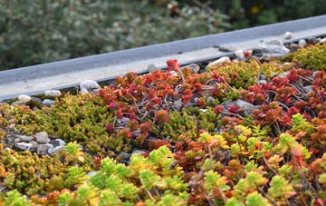 the cost of Hunts Lane green roof installation