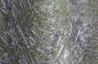 Hunts Lane fibreglass roof work